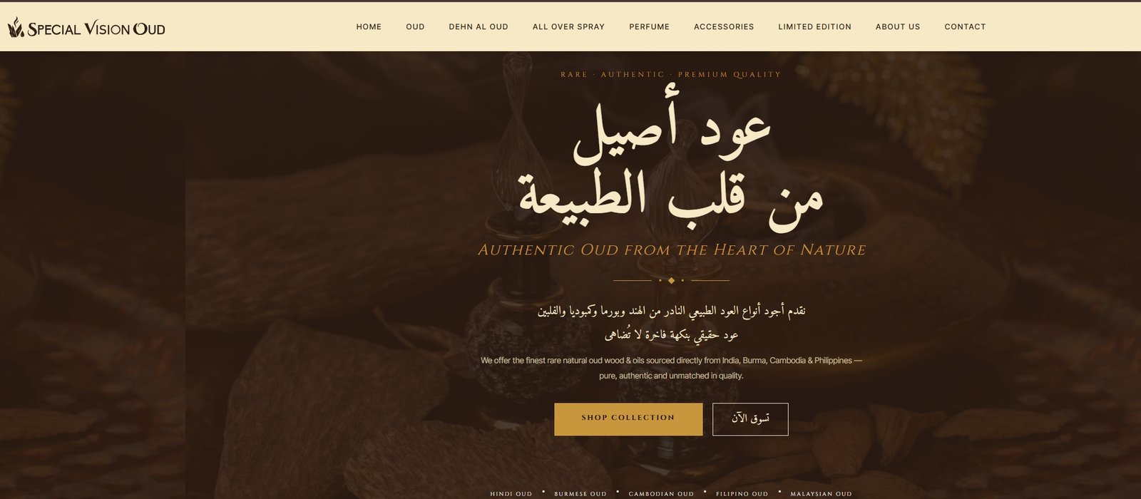 Special Vision Oud website redesign screenshot